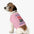 UCCA Official Mascot Pet Tank – Perfect for Your Pooch! M / Pink Pets